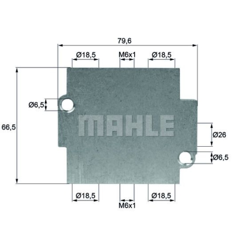 Thermostat, Ölkühlung BEHR TO 15 80 für BMW